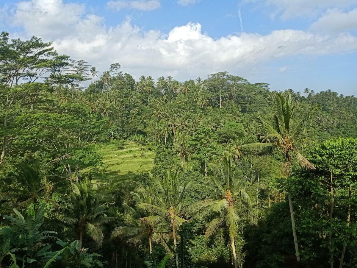 Tirta Asri Ubud Villa Extérieur photo