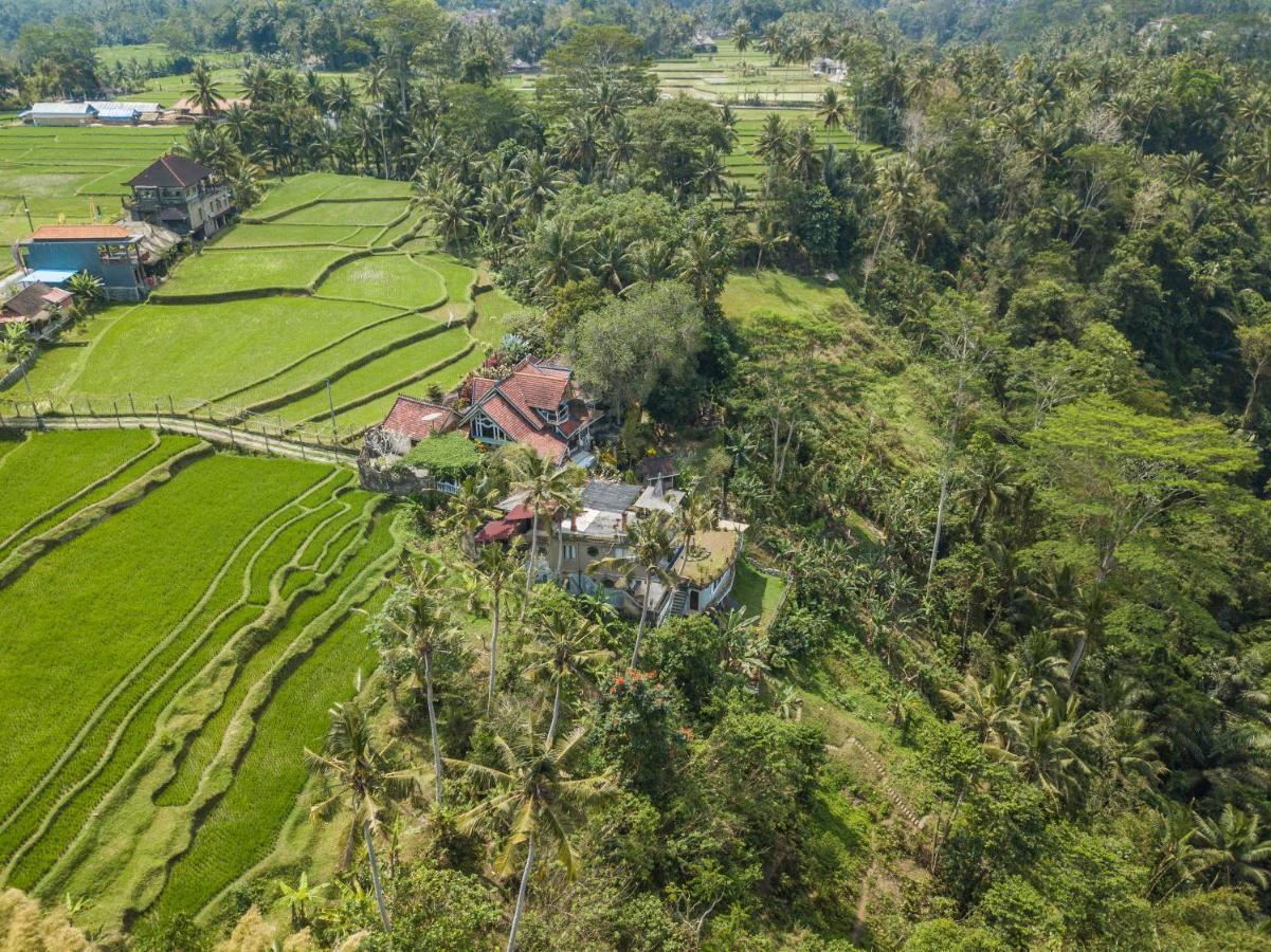 Tirta Asri Ubud Villa Extérieur photo